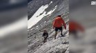 Кучето на Живка е помогнало тялото ѝ да бъде намерено в Пирин след фаталното падане (ВИДЕО)
