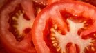  ГМО домати вместо хранителни добавки ни дават повече гама-аминомаслени киселини