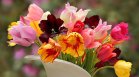 Как да запазим откъснатите цветя свежи и ароматни за по-дълго