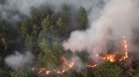 Мащабен горски пожар продължава да бушува в Сърбия (СНИМКИ)