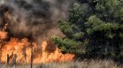 Пожарите в РСМ бушуват вече две седмици
