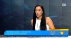 Силвия Рашкова за мъртвите делфини край Приморско: Тъжна и страшна гледка, мрежите не са тайна