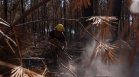 Франция гори: Огън и суша поставят страната на ръба (СНИМКИ)