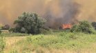 Пламна голям пожар в гора в Ямболско (+СНИМКИ)
