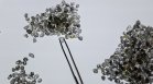 Тайните продажби на руски диаманти разделят глобалната търговия със скъпоценни камъни