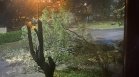 Пропаднал път завлече коли във Варна, излива се проливен дъжд