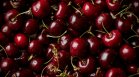 Черешите и доматите поевтиняват, но битката със спекулата буксува