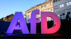 От "Алтернатива за Германия" подкрепиха Костадинов за президент