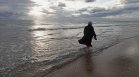 Климатичните промени разширяват зоните на смъртоносна морска бактерия, откривана и в България