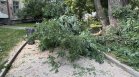 Бури с градушка и ураганен вятър нанесоха щети в няколко области на страната