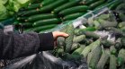 Шокови цени на храните: Краставиците поскъпнаха с над 22%, кестените стигнаха 10 евро/кг