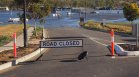Равносметката след наводненията в Нова Зеландия: 4-ма загинали и стотици без дом