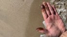 Не пипайте мазута по плажа!: Токсичен е и има рисковете за здравето и екосистемата