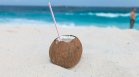 Шест причини да включим кокосовата вода в ежедневието си