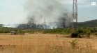 Залесяват 500 декара опожарени терени край Стара Загора