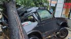 Бурята в София: Дърво падна върху майка и деца, коли са смачкани и улици под вода