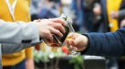 Консумираме 45 млн. литра нелегална ракия всяка година