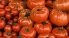 Доматите поевтиняха с над 28% за седмица, маслото и млечните продукти поскъпват