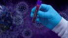 "Живи ваксини" с впръскване през носа: Следващата важна стъпка в битката с Ковид-19