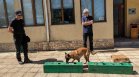 20-годишнина на школата за митнически кучета на Агенция "Митници"