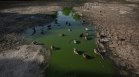 Дронове показаха как рекордната суша "изтри" езеро във Великобритания (СНИМКИ)