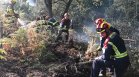 Огнеборците в Югозападна Франция спряха разпространението на огромния пожар
