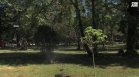 С любов към природата доброволци засаждат дръвчета в Пазарджик