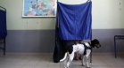 Гърция отваря 22 секции за гласуване на изборите 2 в 1