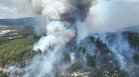 Големият горски пожар затвори пътя между Стрелча и Копривщица