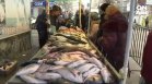 Метален вкус, изпотяване и зачервяване: 1/4 от рибата на пазара крие риск от алергични реакции