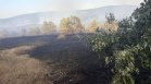 Пожарът при Камен връх обхвана 1600 декара, силният вятър затруднява гасенето