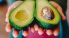 Проучване: Редовната консумация на авокадо понижава риска от сърдечни проблеми