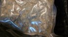 Серия акции срещу наркотиците в София и шестима задържани само за няколко дни