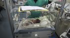 Бебе оцеля по чудо в корема на мъртвата си майка в Газа