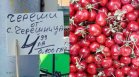 50 лв. за килограм череши - първа реколта за най-нетърпеливите