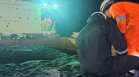 Слънчоглед от Аржентина е с допустимо олово, кадмий и никел, но пестициди над норма