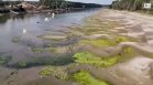 Директорът на АЕЦ "Черна вода": Заради ниския Дунав централата спря производството на ток