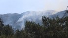 Огънят от Гърция премина границата към Петрич