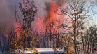 Големият пожар край Ивайловград обхвана 10 000 декара