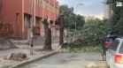Парк "Пирин" продължава да гори, бурята в Петрич е била страховита (ВИДЕО)
