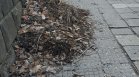Състоянието на габровски тротоар: Разбити плочки, купища листа от есента
