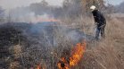 WWF: Средно по 120 000 декара гори изгарят всяка година в България