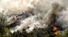Евакуират туристи и местни жители в Гърция заради неконтролируем пожар