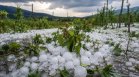 НИМХ: Събота и неделя се очакват интензивни дъждове и градушки