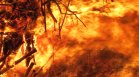 Потушиха голям пожар на Младежкия хълм в Пловдив