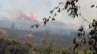 Дъждът спря пожара от Гърция да не влезе изцяло в България