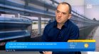 Проблемът с мантинелите: България избира евтиното, после плаща скъпо с човешки животи
