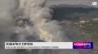Обедна емисия