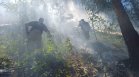 Пожарът край Виноградец изпепели лозя, огънят стигна на метри от селото