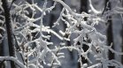 Лом потъна в бяло: Натрупана е най-голяма снежна покривка в страната